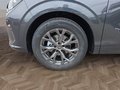 Daumennagel 15 - CUPRA Terramar 1.5 eTSI DSG ACC/Kessy/el.Klappe/Winterp. **