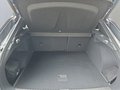 Daumennagel 17 - CUPRA Terramar 1.5 eTSI DSG ACC/Kessy/el.Klappe/Winterp. **