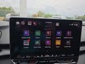 Daumennagel 27 - CUPRA Terramar 1.5 eTSI DSG ACC/Kessy/el.Klappe/Winterp. **