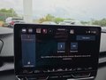 Daumennagel 30 - CUPRA Terramar 1.5 eTSI DSG ACC/Kessy/el.Klappe/Winterp. **