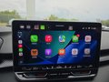 Daumennagel 33 - CUPRA Terramar 1.5 eTSI DSG ACC/Kessy/el.Klappe/Winterp. **