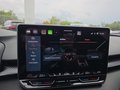 Daumennagel 44 - CUPRA Terramar 1.5 eTSI DSG ACC/Kessy/el.Klappe/Winterp. **