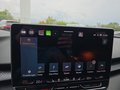 Daumennagel 47 - CUPRA Terramar 1.5 eTSI DSG ACC/Kessy/el.Klappe/Winterp. **