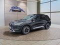 Daumennagel 2 - Ford Kuga Active 2.5 Plug-in-Hybrid 5*J.Gar/Winterp/LED/Navi  **