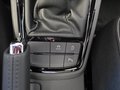Daumennagel 25 - Skoda Kamiq Monte Carlo 1,5TSI DSG 5*J.Gar/Kessy/Matrix/Winterp/Kamera **