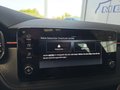 Daumennagel 30 - Skoda Kamiq Monte Carlo 1,5TSI DSG 5*J.Gar/Kessy/Matrix/Winterp/Kamera **