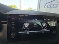 Daumennagel 39 - Skoda Kamiq Monte Carlo 1,5TSI DSG 5*J.Gar/Kessy/Matrix/Winterp/Kamera **