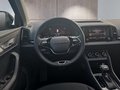 Daumennagel 13 - Skoda Karoq 1,5TSI DSG aAHK/ACC/Kamera/Winterp.       **