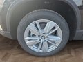 Daumennagel 15 - Skoda Karoq 1,5TSI DSG aAHK/ACC/Kamera/Winterp.       **