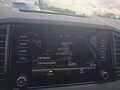 Daumennagel 39 - Skoda Karoq 1,5TSI DSG aAHK/ACC/Kamera/Winterp.       **