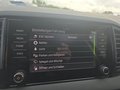Daumennagel 42 - Skoda Karoq 1,5TSI DSG aAHK/ACC/Kamera/Winterp.       **