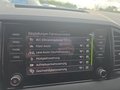 Daumennagel 47 - Skoda Karoq 1,5TSI DSG aAHK/ACC/Kamera/Winterp.       **
