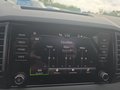 Daumennagel 48 - Skoda Karoq 1,5TSI DSG aAHK/ACC/Kamera/Winterp.       **