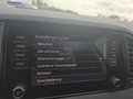 Daumennagel 50 - Skoda Karoq 1,5TSI DSG aAHK/ACC/Kamera/Winterp.       **