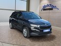 Daumennagel 7 - Skoda Karoq 1,5TSI DSG aAHK/ACC/Kamera/Winterp.       **