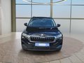 Daumennagel 8 - Skoda Karoq 1,5TSI DSG aAHK/ACC/Kamera/Winterp.       **