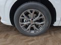 Daumennagel 15 - CUPRA Terramar 1.5 eTSI DSG ACC/Kessy/el.Klappe/Winterp. **