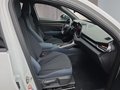 Daumennagel 16 - CUPRA Terramar 1.5 eTSI DSG ACC/Kessy/el.Klappe/Winterp. **
