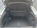 Daumennagel 17 - CUPRA Terramar 1.5 eTSI DSG ACC/Kessy/el.Klappe/Winterp. **