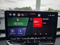 Daumennagel 25 - CUPRA Terramar 1.5 eTSI DSG ACC/Kessy/el.Klappe/Winterp. **