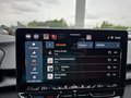 Daumennagel 30 - CUPRA Terramar 1.5 eTSI DSG ACC/Kessy/el.Klappe/Winterp. **
