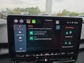Daumennagel 39 - CUPRA Terramar 1.5 eTSI DSG ACC/Kessy/el.Klappe/Winterp. **