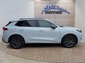 Daumennagel 6 - CUPRA Terramar 1.5 eTSI DSG ACC/Kessy/el.Klappe/Winterp. **