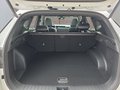 Daumennagel 17 - Hyundai TUCSON 1,6T HEV N Line X UPE=54000 Euro!        **