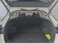 Daumennagel 17 - Skoda Kodiaq 1,5TSI DSG aAHK/7-Sitzer/Navi/ACC/el.Klappe **