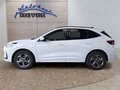 Daumennagel 2 - Ford Kuga ST-Line 2,5 FHEV 180PS 5*J.Gar/LED/Navi/Winterp. **