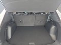 Daumennagel 17 - Ford Kuga ST-Line 2,5 FHEV 180PS 5*J.Gar/LED/Navi/Winterp. **