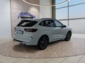 Daumennagel 5 - Ford Kuga ST-Line 2,5 FHEV 180PS 5*J.Gar/LED/Navi/Winterp. **