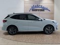 Daumennagel 6 - Ford Kuga ST-Line 2,5 FHEV 180PS 5*J.Gar/LED/Navi/Winterp. **