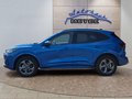 Daumennagel 2 - Ford Kuga ST-Line 2,5 FHEV 180PS 5*J.Gar/LED/Navi/Winterp.  **
