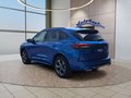 Daumennagel 3 - Ford Kuga ST-Line 2,5 FHEV 180PS 5*J.Gar/LED/Navi/Winterp.  **