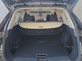 Daumennagel 17 - Nissan X-Trail 1,5 VC-T 163PS Navi/ACC/Winterp/el.Klappe **
