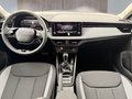 Daumennagel 11 - Skoda Kamiq Selection 1,0TSI DSG Kessy/Kamera/Temp/2-Z.Klimaaut.  **