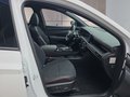 Daumennagel 15 - Hyundai TUCSON 1,6T HEV 4WD N Line X UPE=56000 Euro!        **