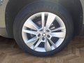 Daumennagel 14 - Skoda Karoq 1.5 TSI ACT Drive 125 Navi/LED/ACC/DAB/