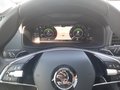 Daumennagel 20 - Skoda Karoq 1.5 TSI ACT Drive 125 Navi/LED/ACC/DAB/