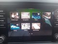 Daumennagel 30 - Skoda Karoq 1.5 TSI ACT Drive 125 Navi/LED/ACC/DAB/