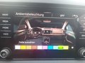 Daumennagel 33 - Skoda Karoq 1.5 TSI ACT Drive 125 Navi/LED/ACC/DAB/
