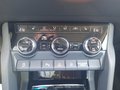 Daumennagel 34 - Skoda Karoq 1.5 TSI ACT Drive 125 Navi/LED/ACC/DAB/
