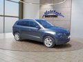 Daumennagel 7 - Skoda Karoq 1.5 TSI ACT Drive 125 Navi/LED/ACC/DAB/