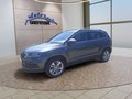 Daumennagel 1 - Skoda Karoq 1.5 TSI ACT Drive 125 Navi/LED/ACC/DAB/