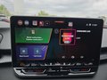 Daumennagel 25 - CUPRA Terramar 1.5 eTSI DSG ACC/Kessy/el.Klappe/Winterp. **