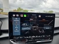 Daumennagel 43 - CUPRA Terramar 1.5 eTSI DSG ACC/Kessy/el.Klappe/Winterp. **