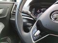 Daumennagel 17 - Skoda Karoq 2,0TDI DSG 4x4 Navi/LED/Kamera/ACC/Winterp.  **