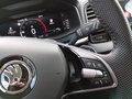 Daumennagel 18 - Skoda Karoq 2,0TDI DSG 4x4 Navi/LED/Kamera/ACC/Winterp.  **
