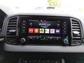 Daumennagel 20 - Skoda Karoq 2,0TDI DSG 4x4 Navi/LED/Kamera/ACC/Winterp.  **